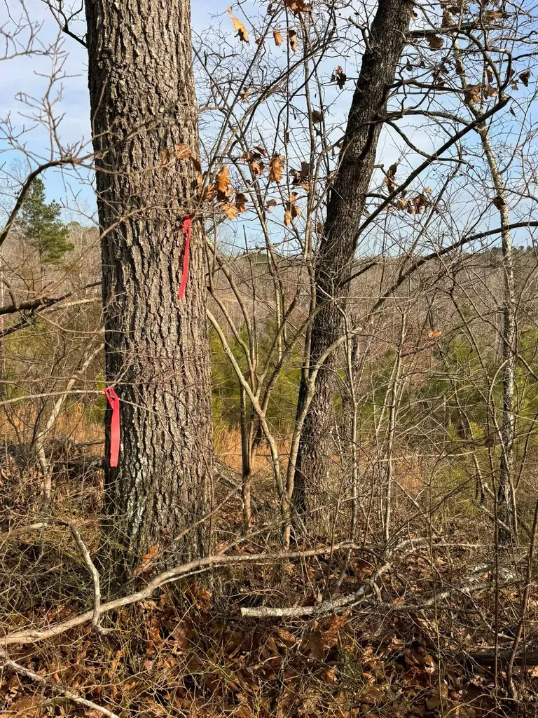 01 Bates Road Haleyville AL 35565