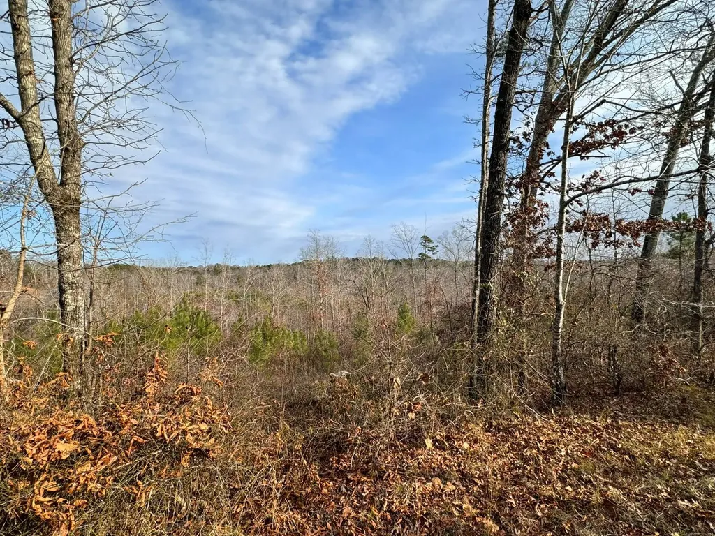 01 Bates Road Haleyville AL 35565