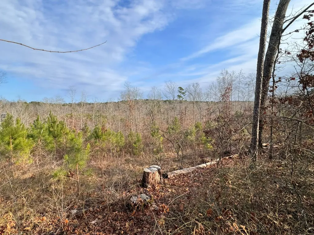 01 Bates Road Haleyville AL 35565