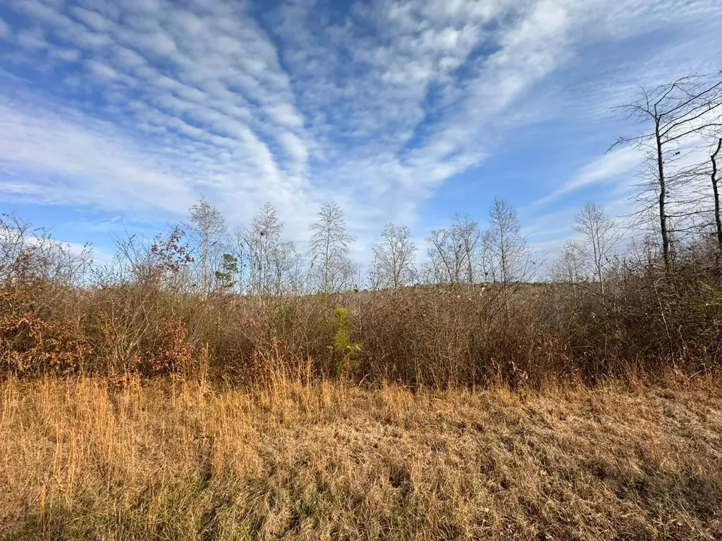 01 Bates Road Haleyville AL 35565