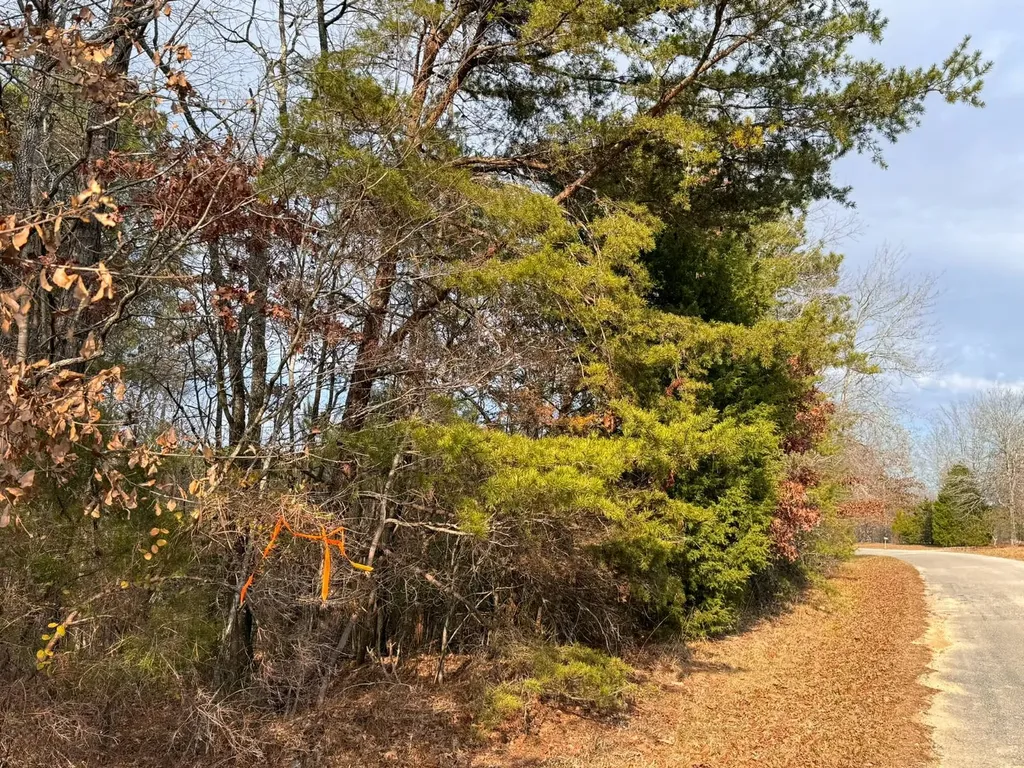 01 Bates Road Haleyville AL 35565