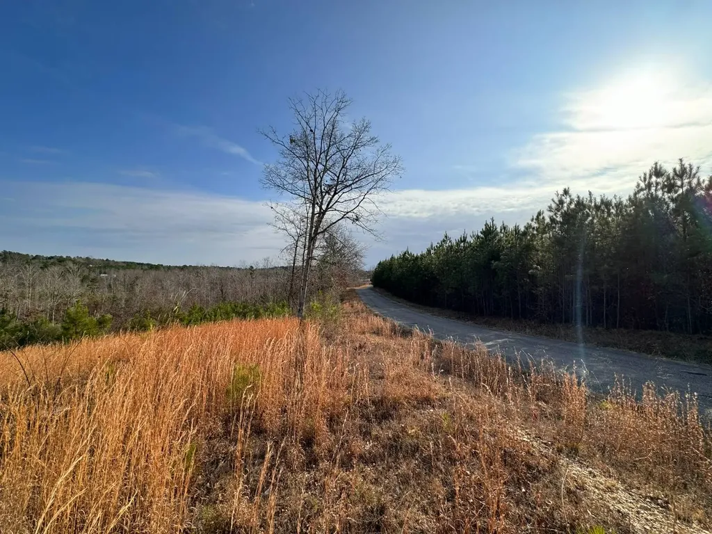 01 Bates Road Haleyville AL 35565