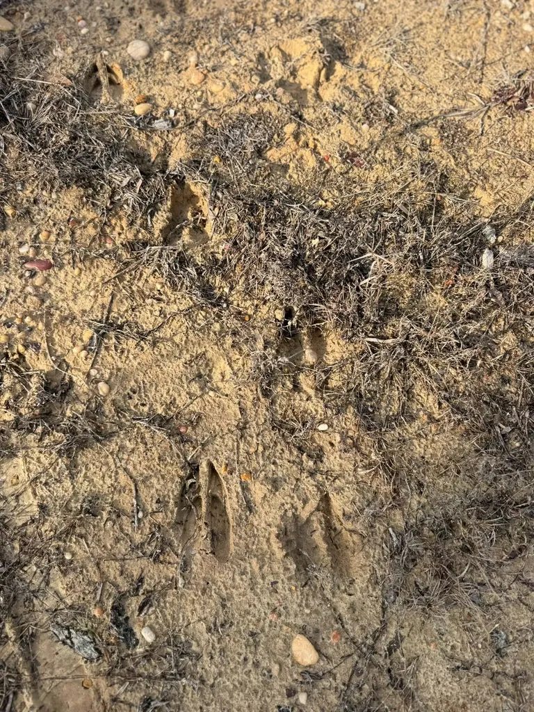 01 Bates Road Haleyville AL 35565