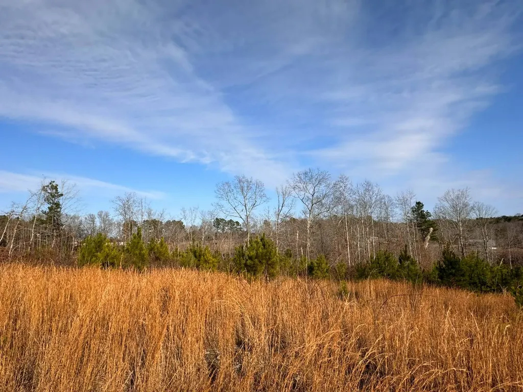 01 Bates Road Haleyville AL 35565