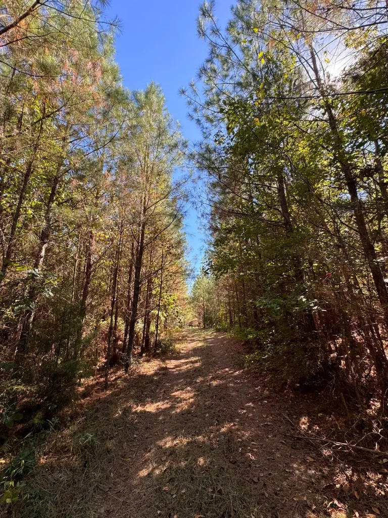 02 County Road 5 Cuba AL 36907