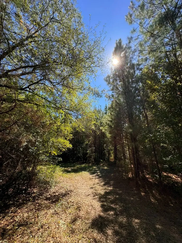 02 County Road 5 Cuba AL 36907