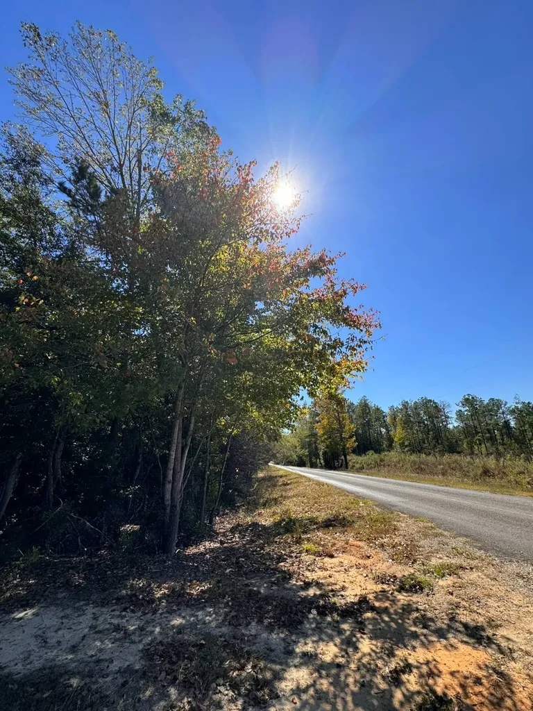 02 County Road 5 Cuba AL 36907