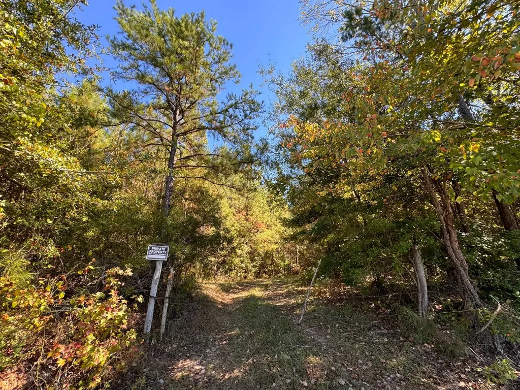 02 County Road 5 Cuba AL 36907