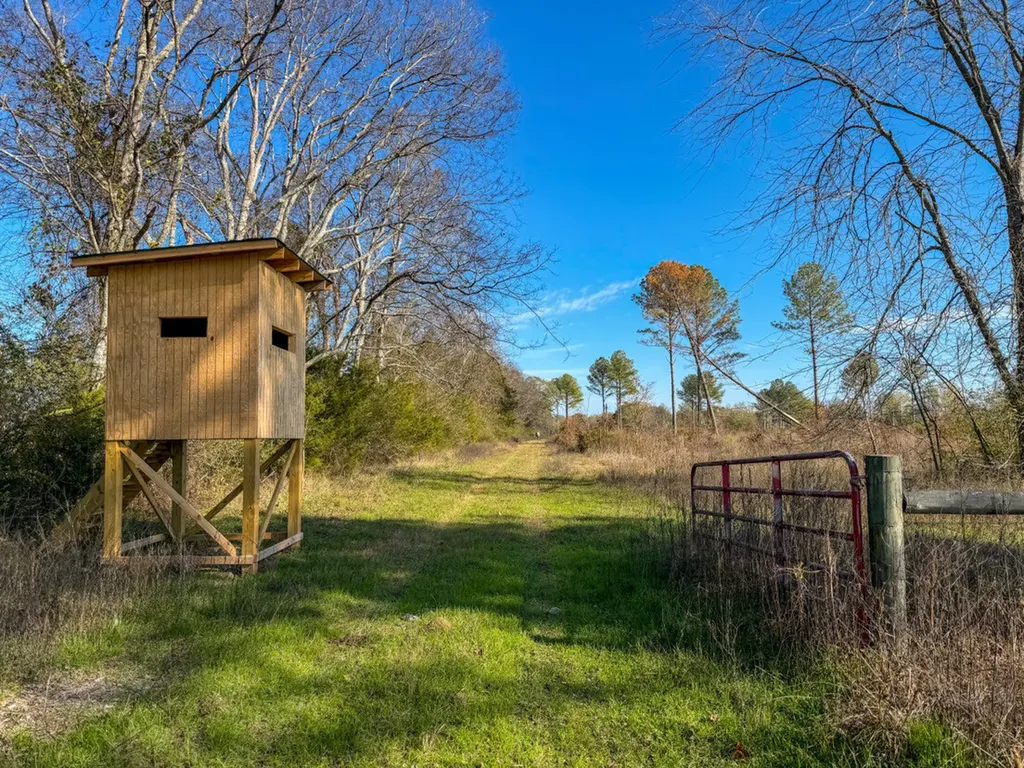 0 Co Road 35 Marion AL 36756