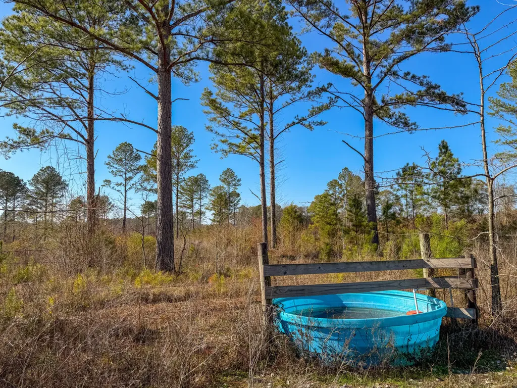 0 Co Road 35 Marion AL 36756