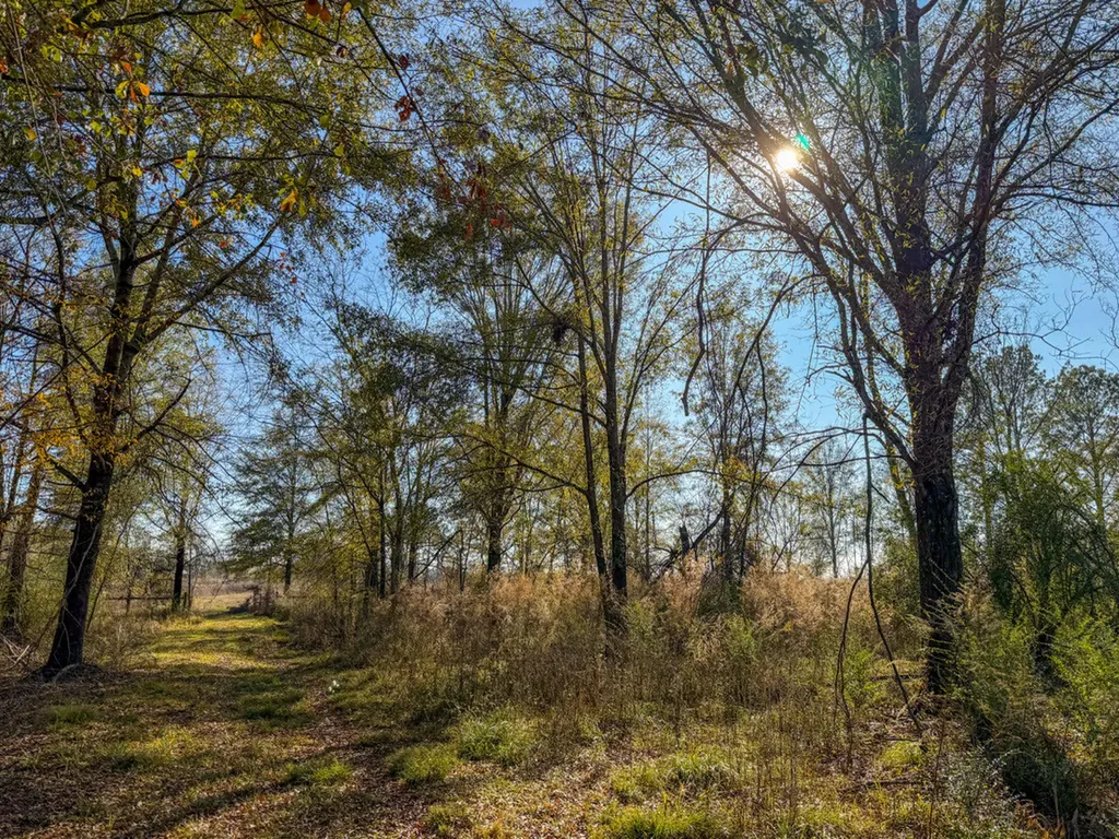 0 Co Road 35 Marion AL 36756