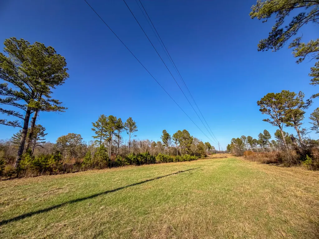 0 Co Road 35 Marion AL 36756