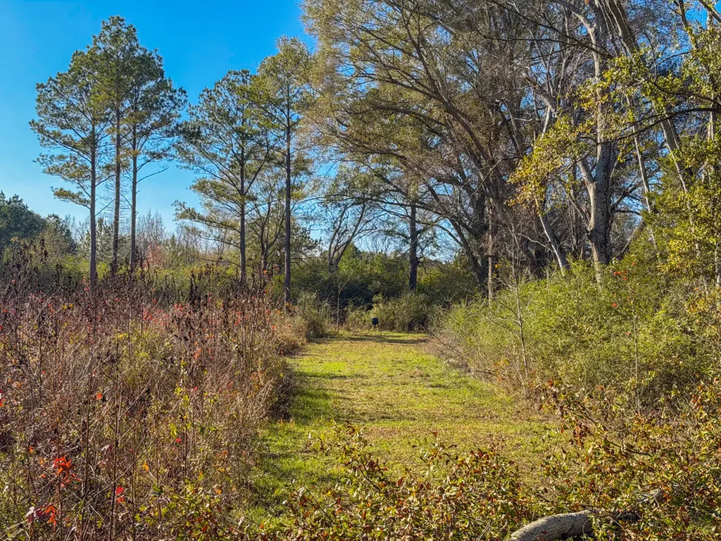 0 Co Road 35 Marion AL 36756