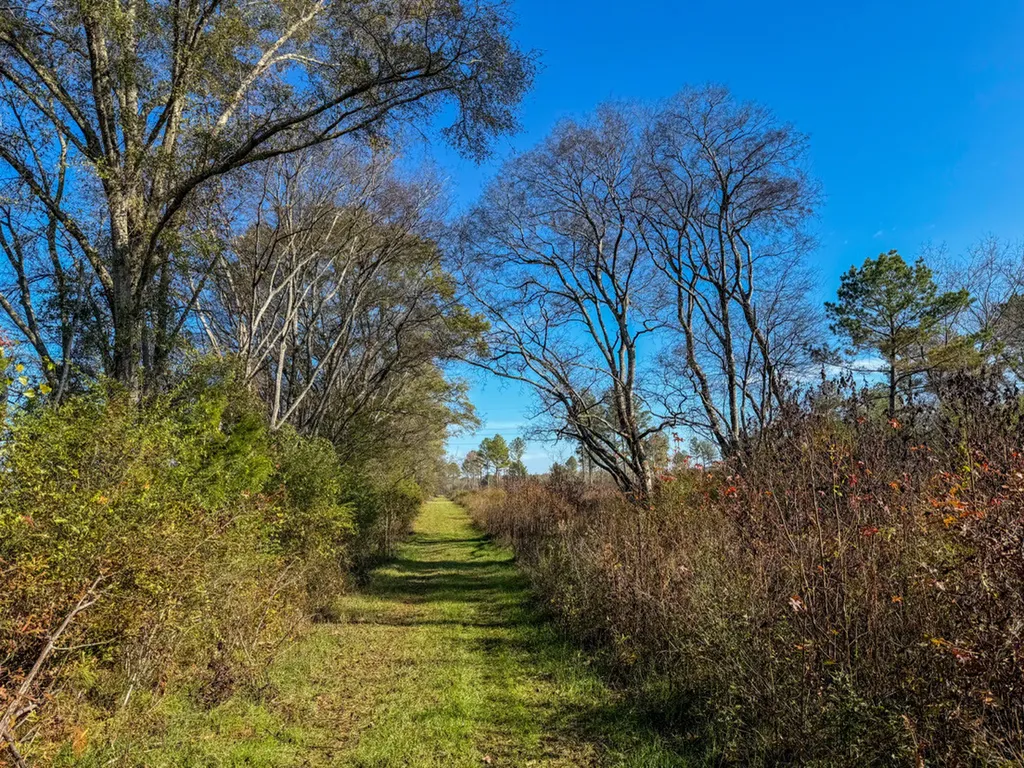 0 Co Road 35 Marion AL 36756