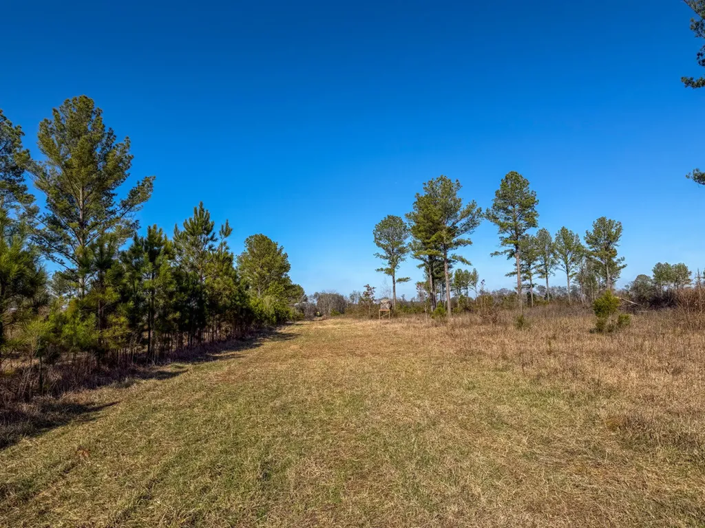 0 Co Road 35 Marion AL 36756