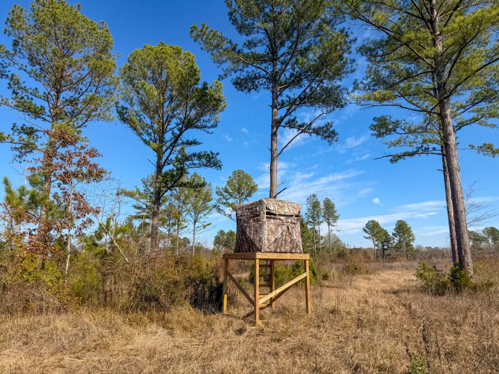 0 Co Road 35 Marion AL 36756