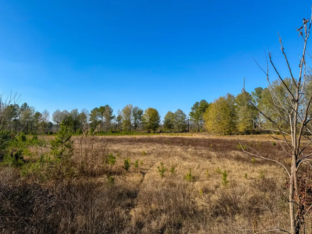 0 Co Road 35 Marion AL 36756