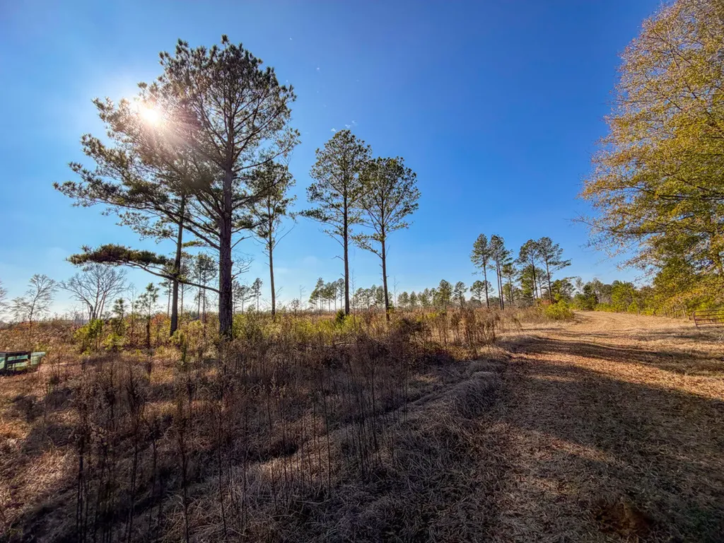 0 Co Road 35 Marion AL 36756