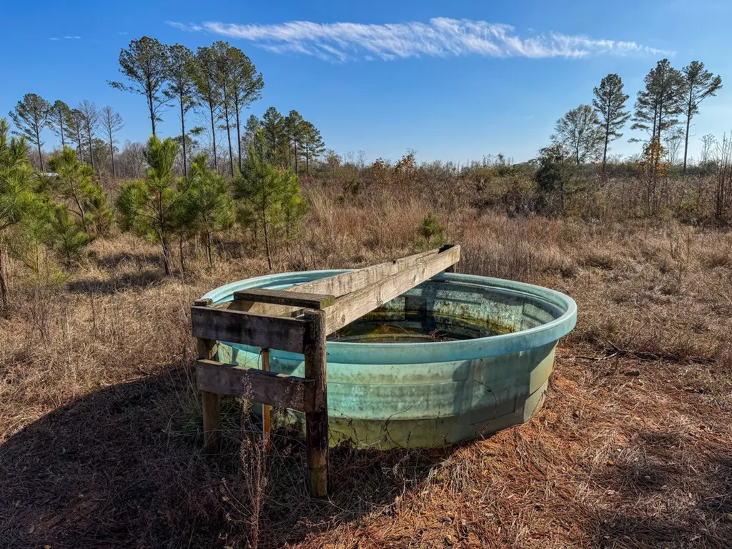 0 Co Road 35 Marion AL 36756