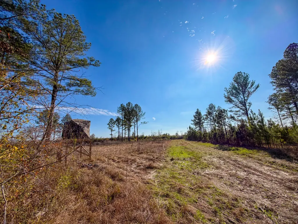 0 Co Road 35 Marion AL 36756