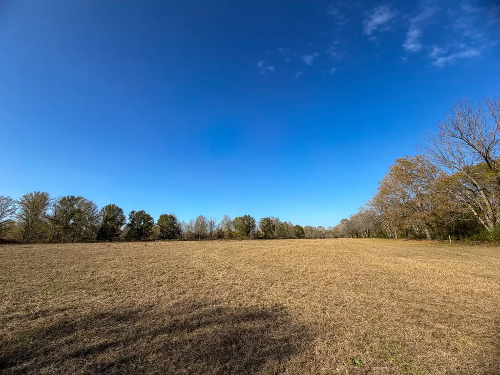 0 Co Road 35 Marion AL 36756