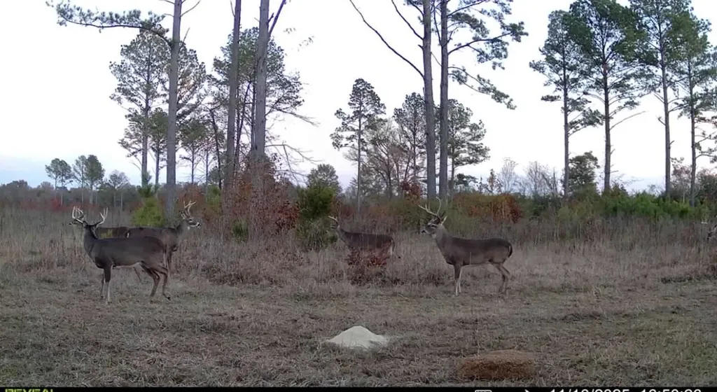 0 Co Road 35 Marion AL 36756