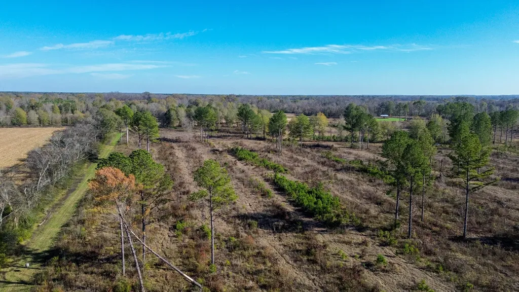 0 Co Road 35 Marion AL 36756