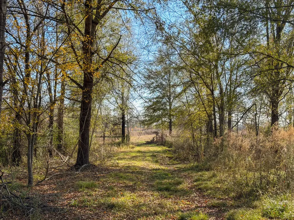 0 Co Road 35 Marion AL 36756