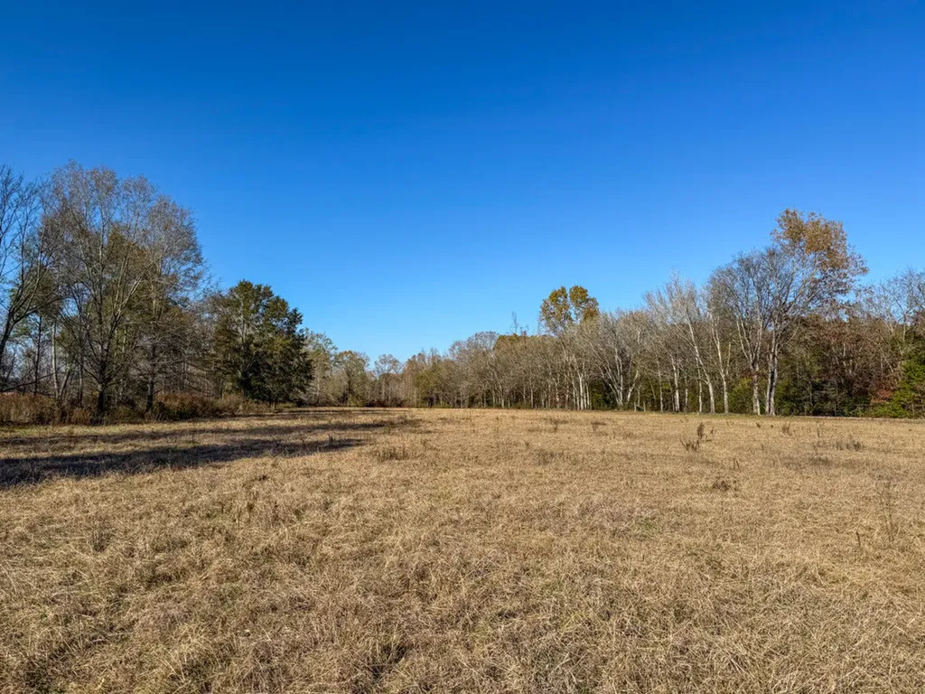 0 Co Road 35 Marion AL 36756