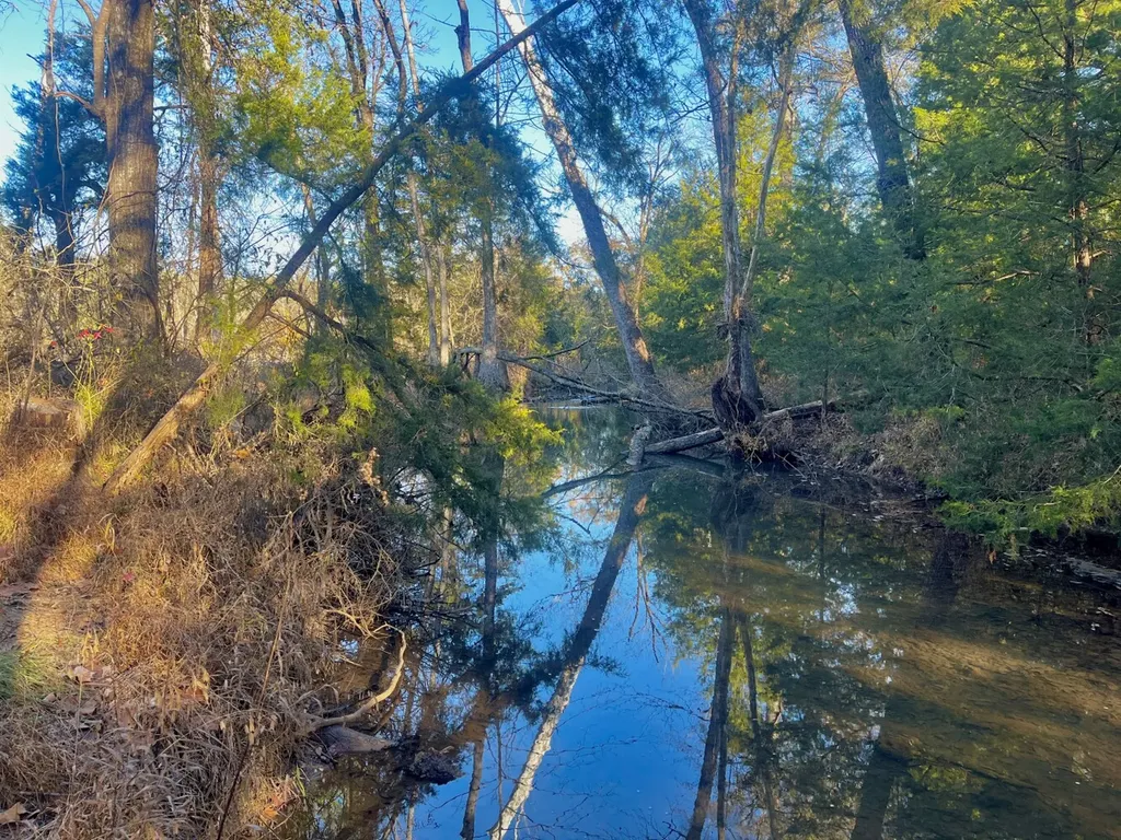 5343 Cr-16 Montevallo AL 35115