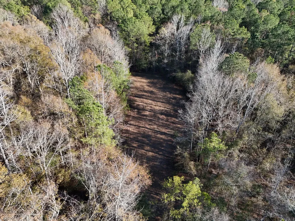 0 County Road 49 Tuskegee AL 36083