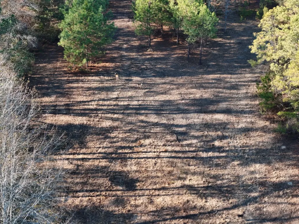 0 County Road 49 Tuskegee AL 36083