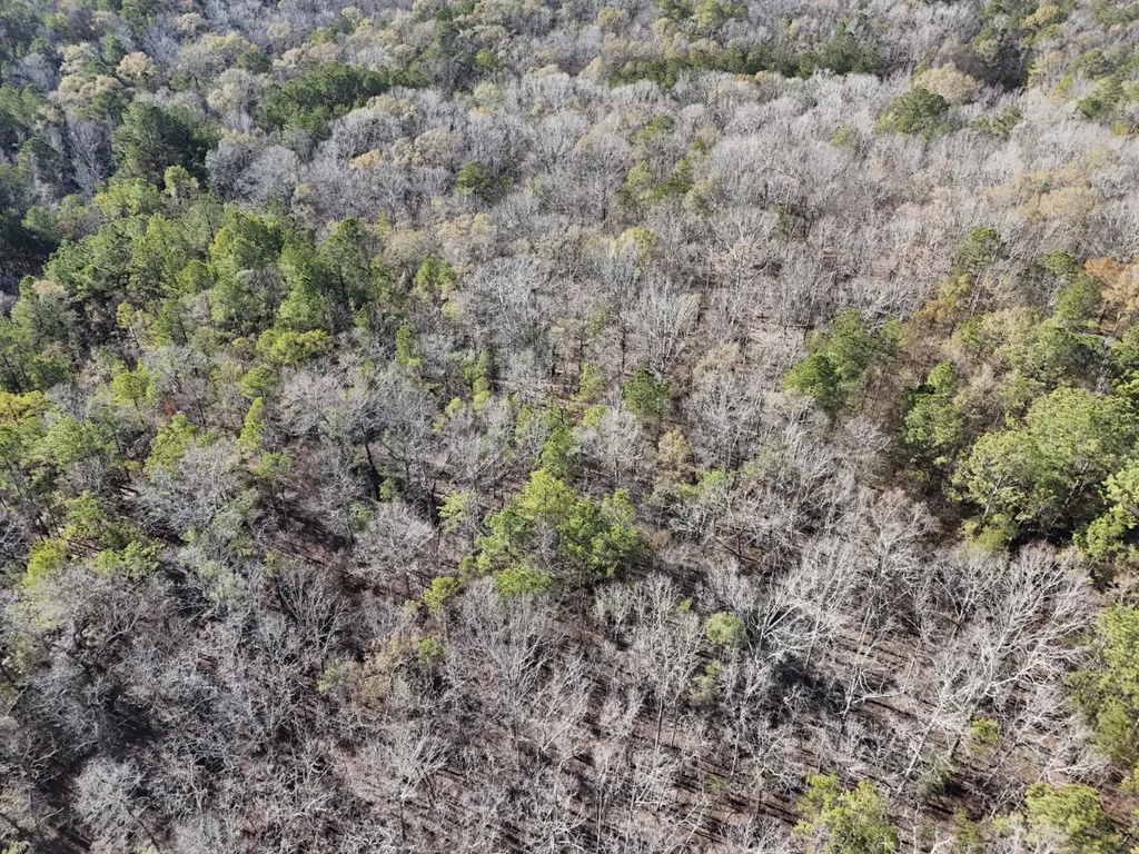 0 County Road 49 Tuskegee AL 36083