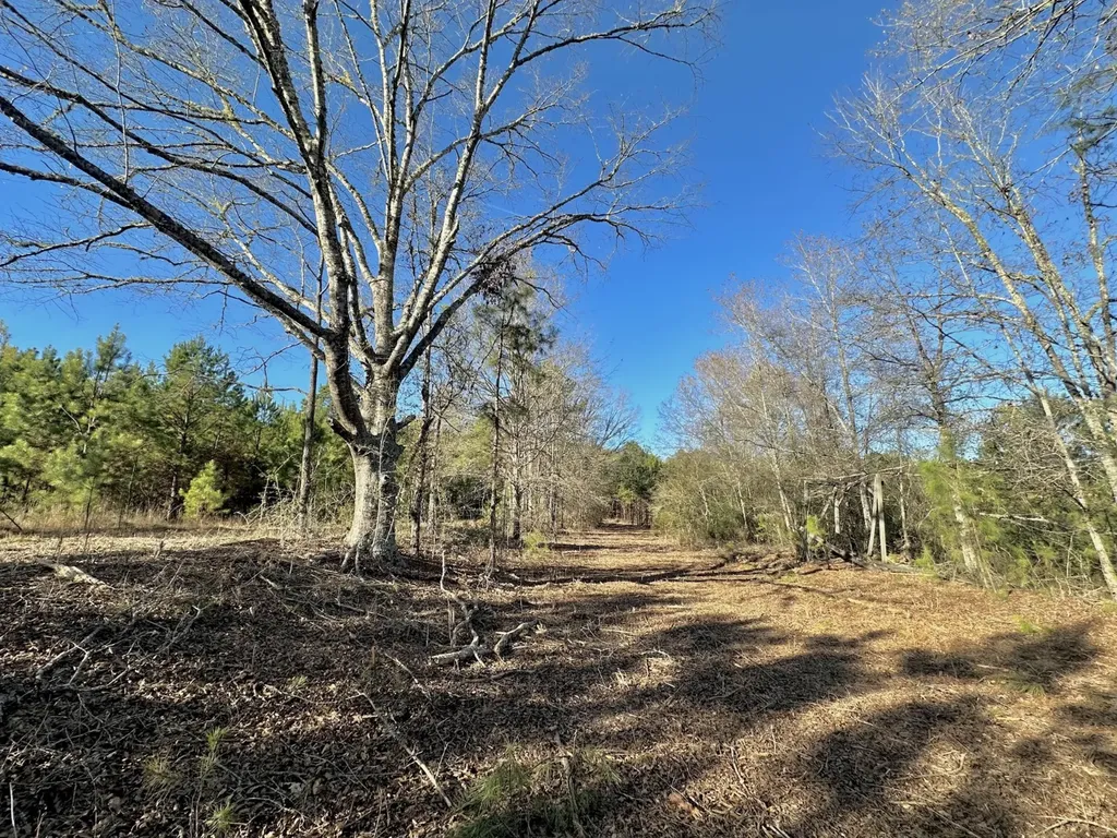 0 County Road 49 Tuskegee AL 36083