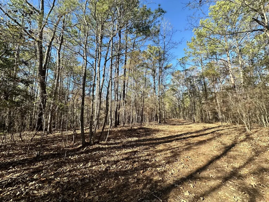 0 County Road 49 Tuskegee AL 36083