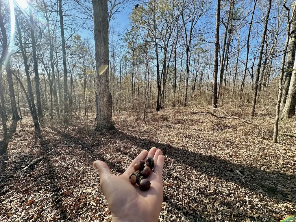 0 County Road 49 Tuskegee AL 36083