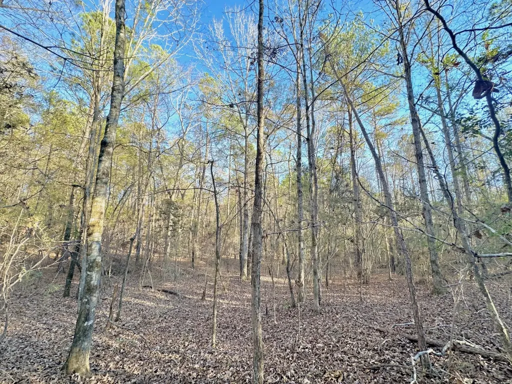 0 County Road 49 Tuskegee AL 36083