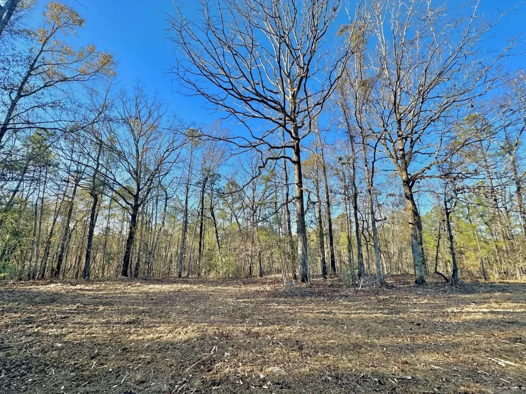 0 County Road 49 Tuskegee AL 36083