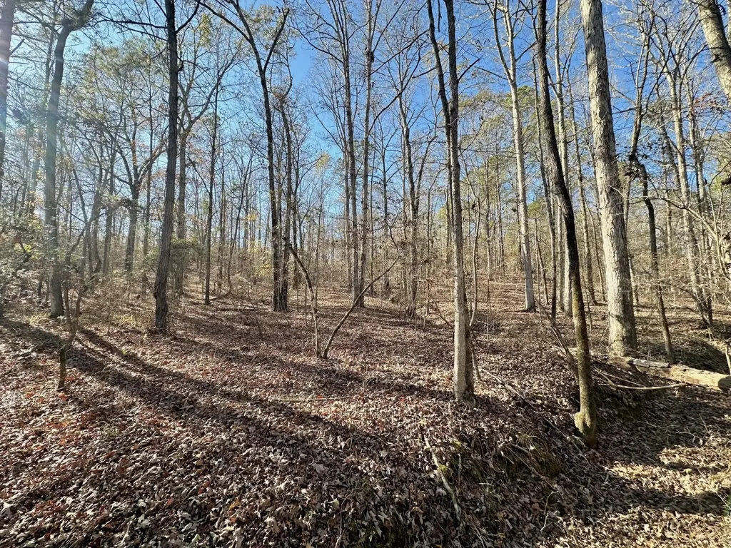 0 County Road 49 Tuskegee AL 36083