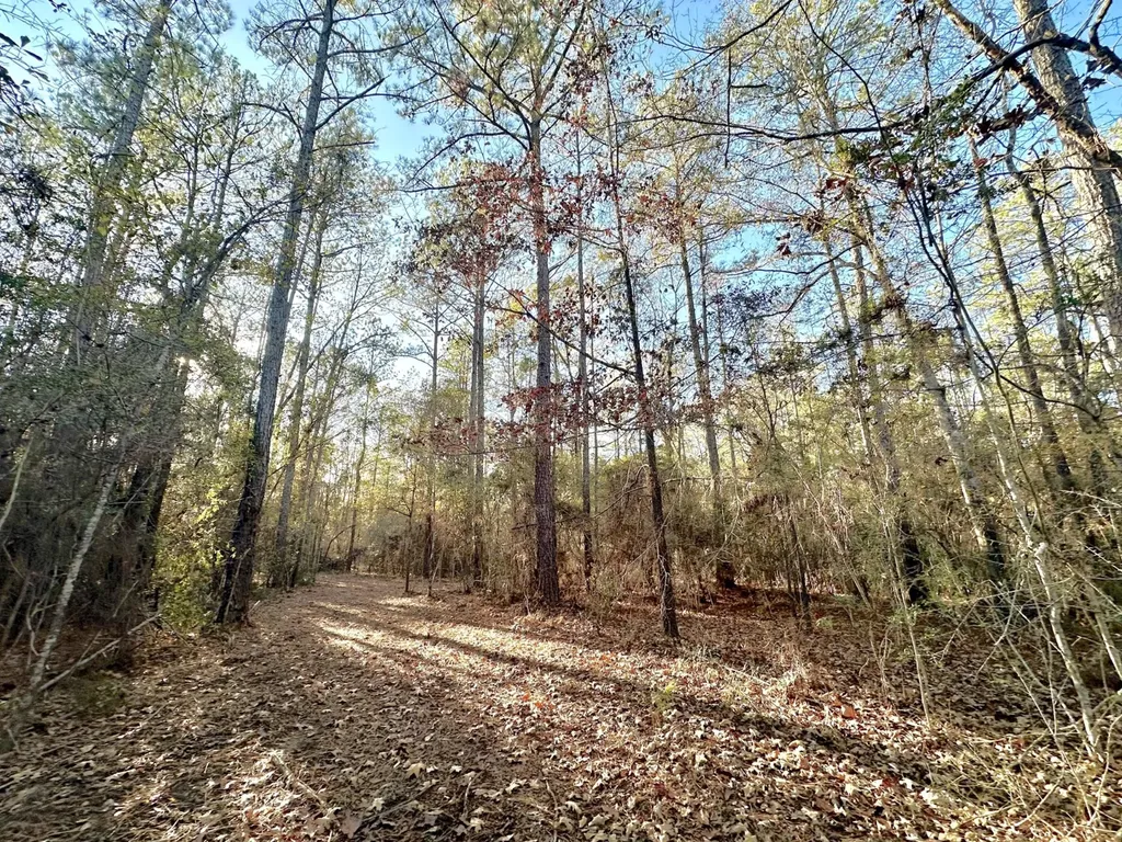 0 County Road 49 Tuskegee AL 36083