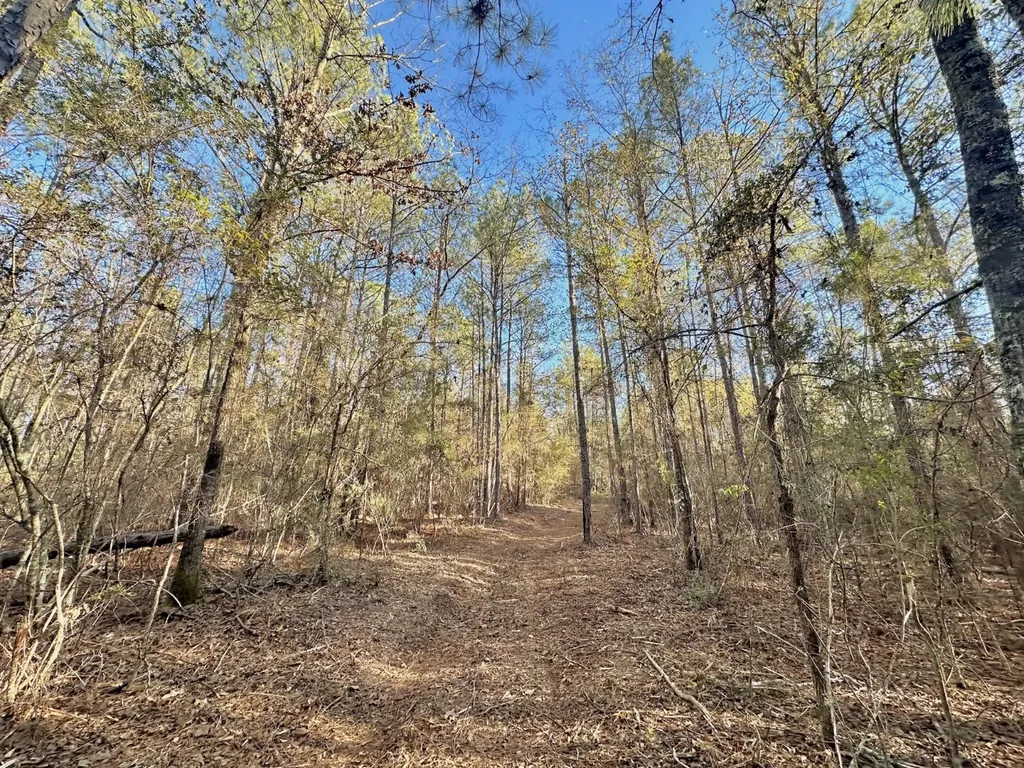 0 County Road 49 Tuskegee AL 36083