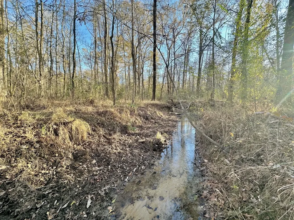 0 County Road 49 Tuskegee AL 36083