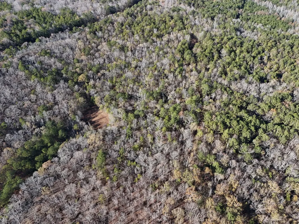 0 County Road 49 Tuskegee AL 36083