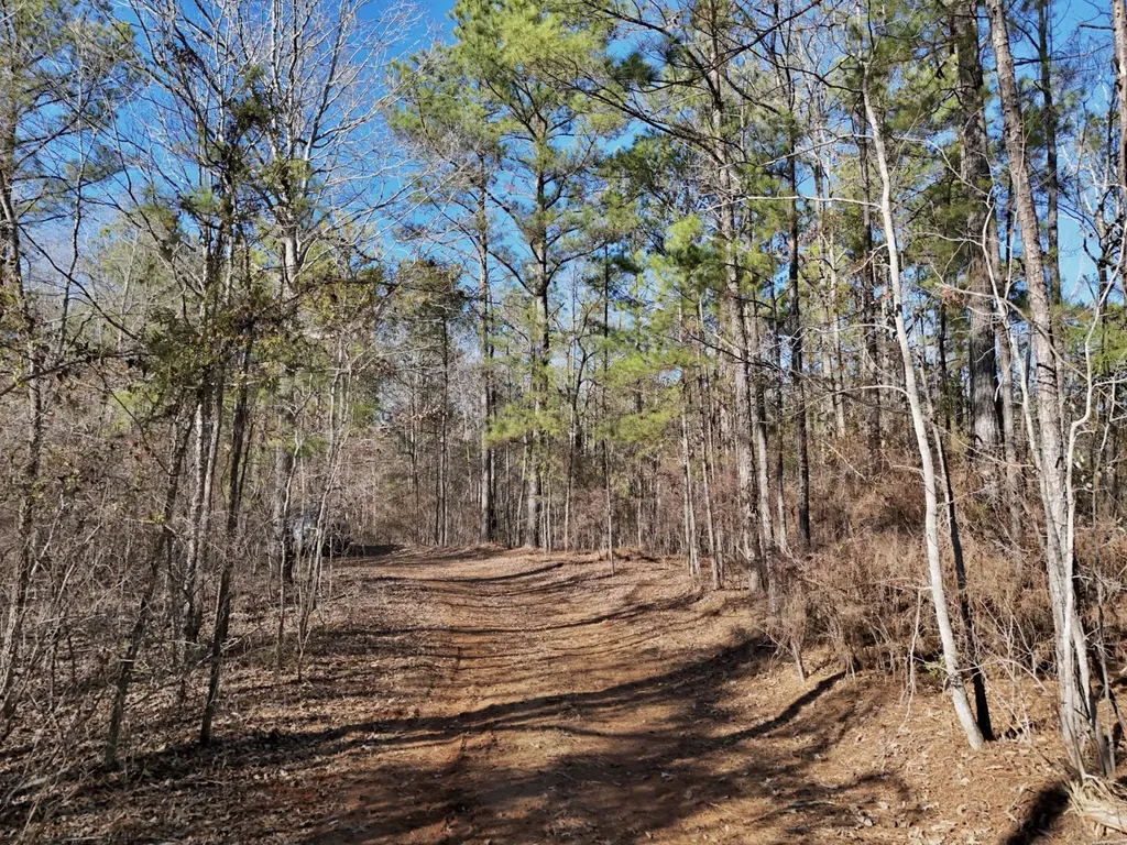 0 County Road 49 Tuskegee AL 36083