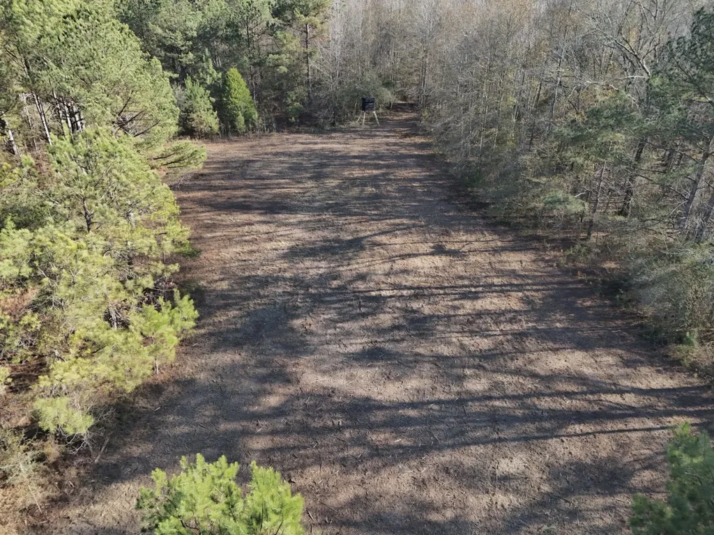 0 County Road 49 Tuskegee AL 36083