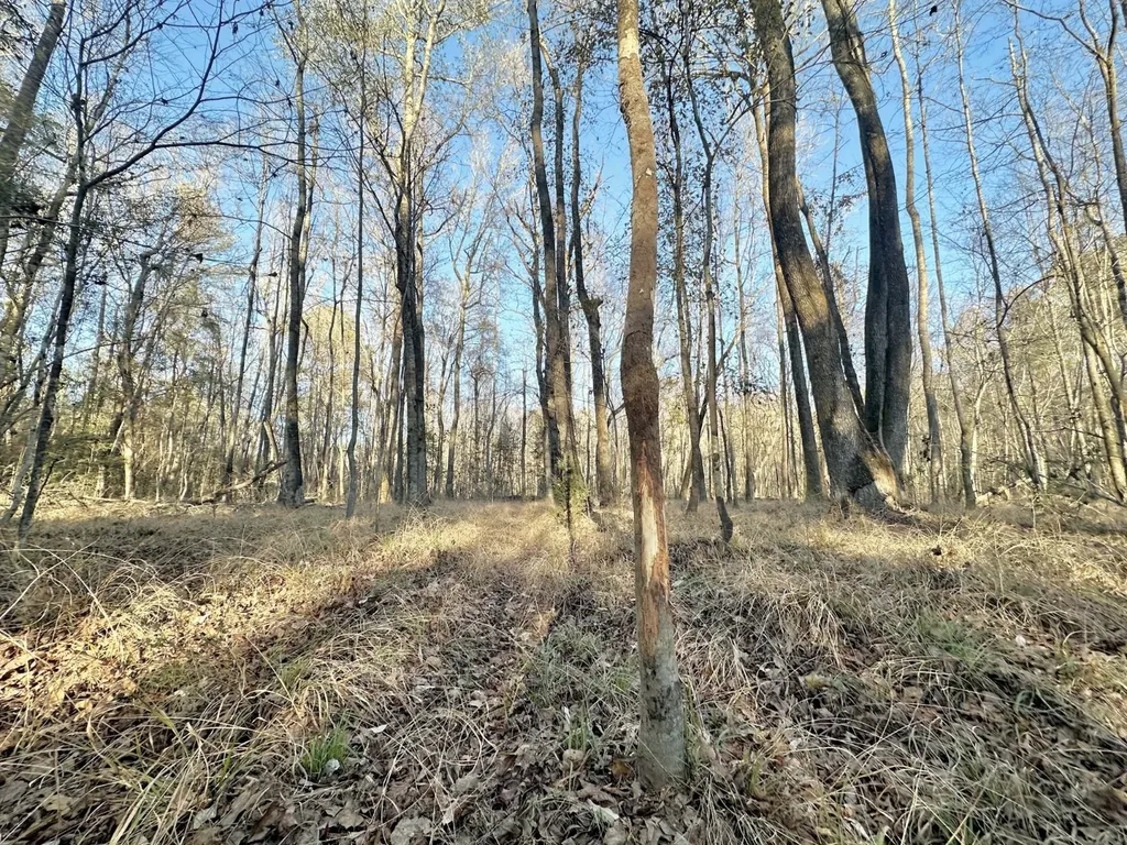 0 County Road 49 Tuskegee AL 36083