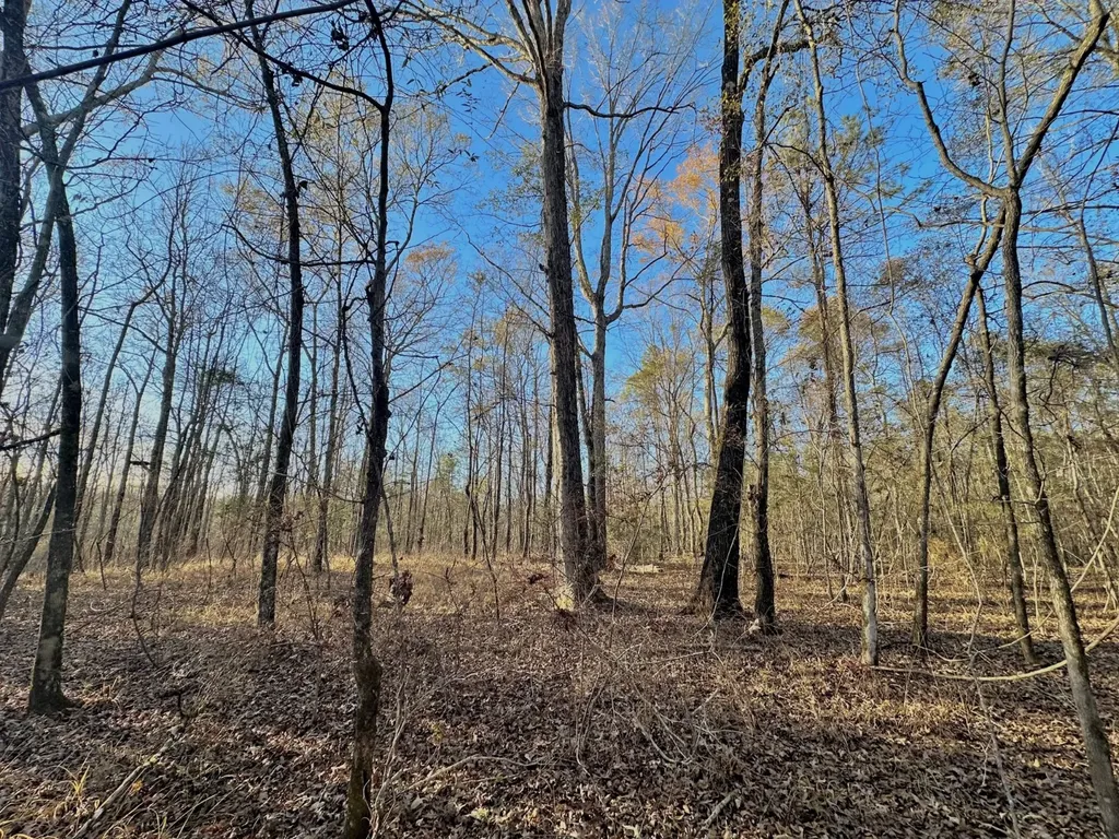 0 County Road 49 Tuskegee AL 36083