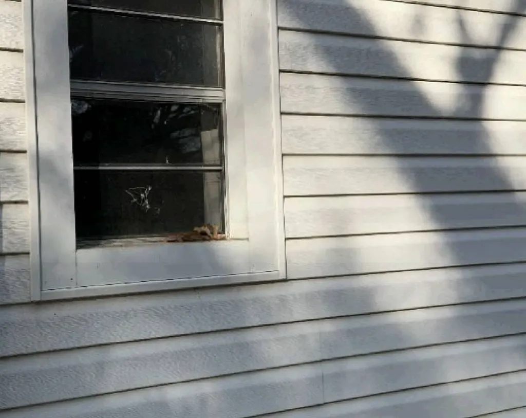 1013 Tidmore Bend Road Gadsden AL 35901