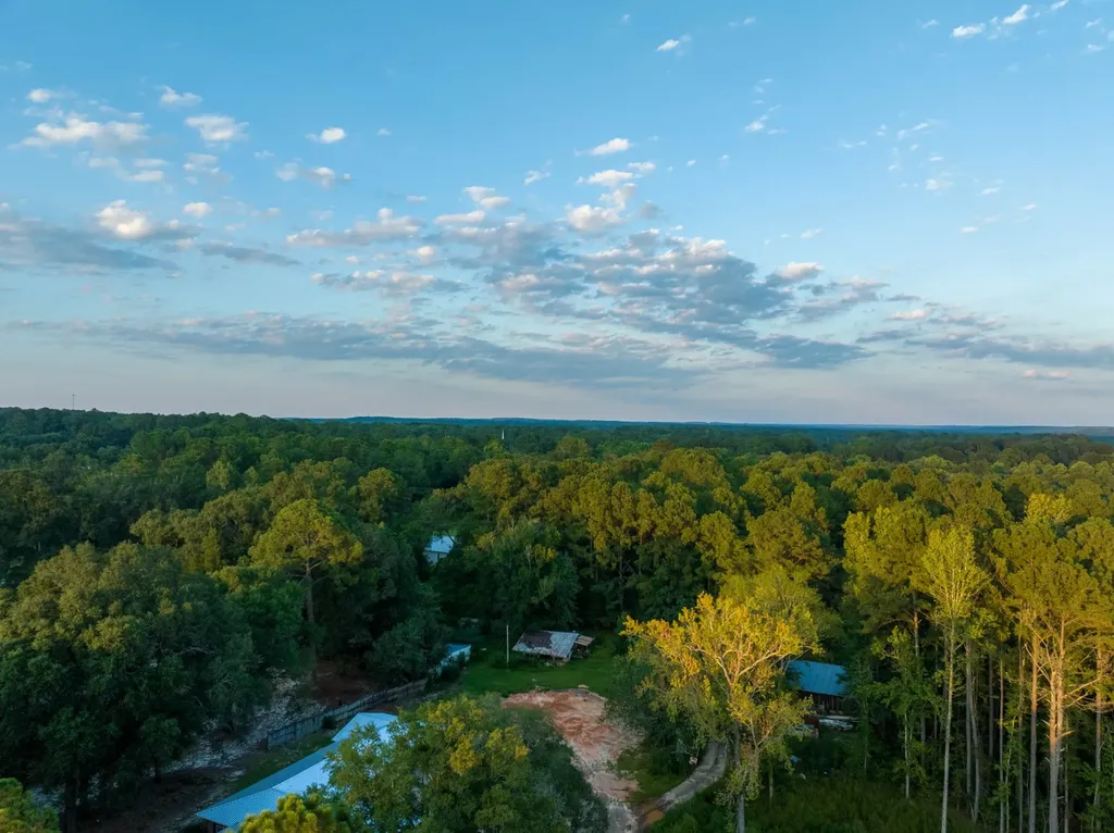 0 Taylor Mill Road Elba AL 36323
