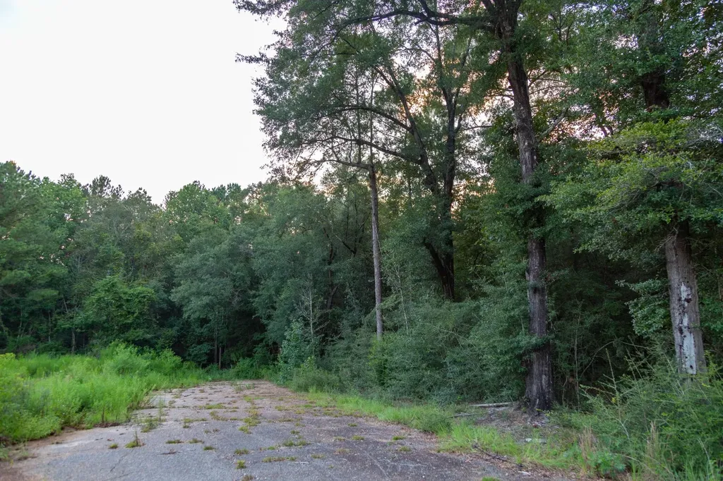0 Taylor Mill Road Elba AL 36323